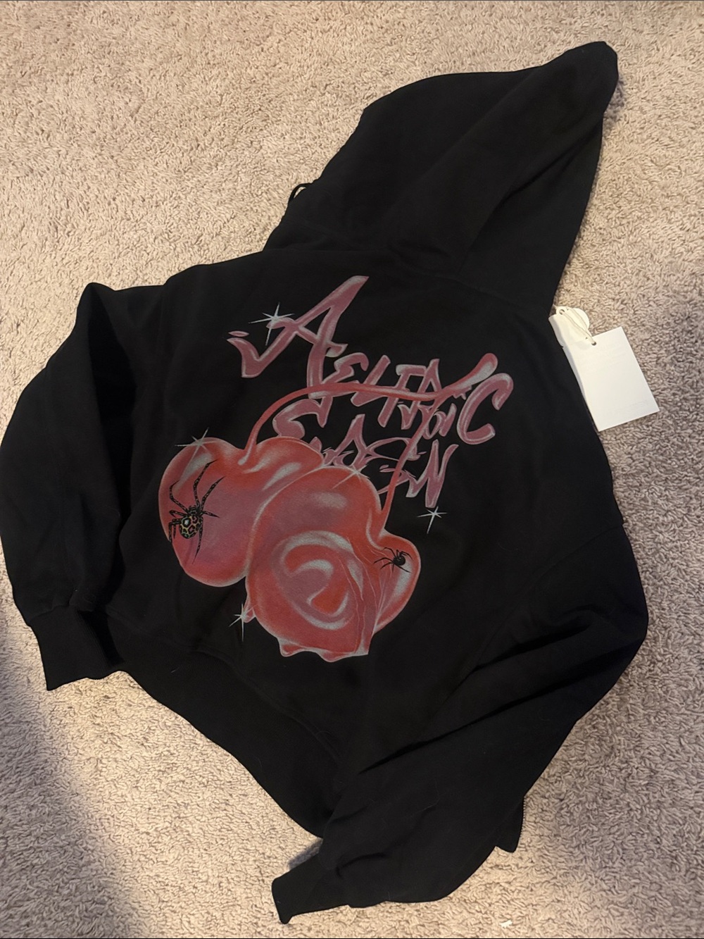 Aelfric Eden Black Hoodie with Pink Rose Graphic